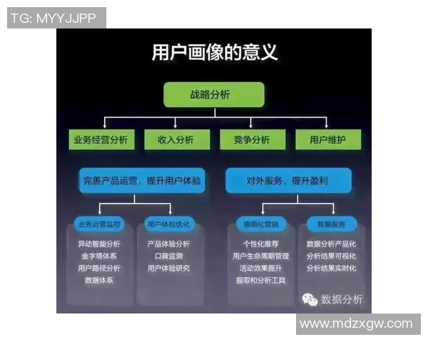 西安排球队比赛经验的深度数据分析与表现评估