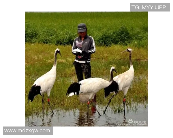 从木匠到足球明星的逆袭之路：追梦旅程与奋斗精神的真实故事